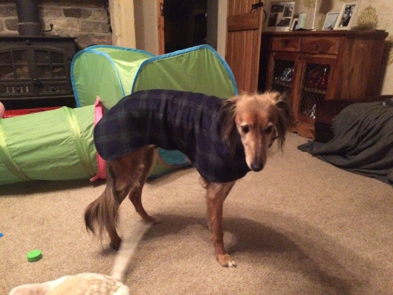 Dog snood fleece blue tartan whippet ,Italian greyhound ,greyhound,lurcher 8 sizes image 5