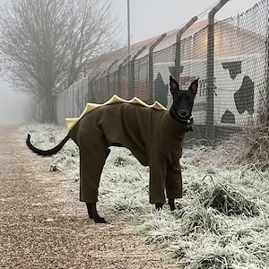 May include: A black dog wearing a green dinosaur costume with yellow spines stands on a frosty path. The dog is the focal point, set against a backdrop of a chain-link fence and a foggy, wintery landscape. The costume covers the dog's body.