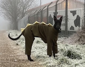 Made to Measure Dog Dinosaur Pyjamas, Fleece Onesie