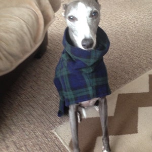 Dog snood fleece blue tartan whippet ,Italian greyhound ,greyhound,lurcher 8 sizes image 3