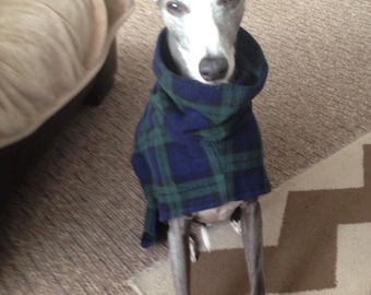 Hundhalsduk fleece blå tartan whippet, italiensk greyhound, greyhound, lurcher 9 storlekar