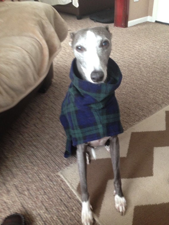 Dog snood fleece blue tartan whippet ,Italian greyhound ,greyhound,lurcher 9 sizes