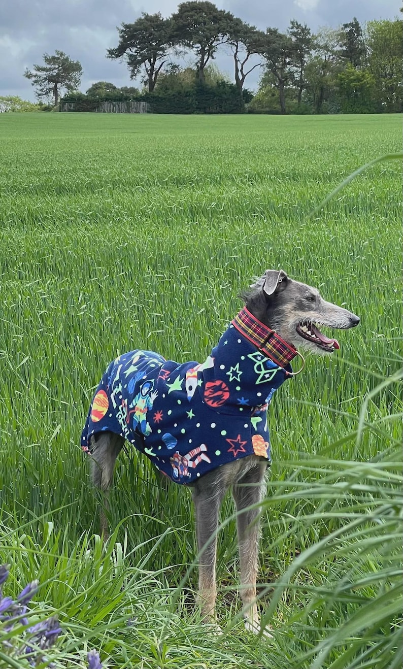 Fleece Dog Snood coat , jumper space , Halloween Whippet, Greyhound , lurcherr image 3