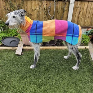 Peut inclure: Un chien gris portant un manteau pour chien &agrave; carreaux color&eacute;s. Le manteau pr&eacute;sente des blocs orange, bleus, roses et verts. Le chien se tient sur du gazon artificiel vert devant une cl&ocirc;ture en bois.