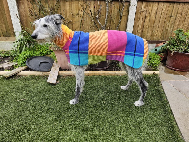 Peut inclure: Un chien gris portant un manteau pour chien &agrave; carreaux color&eacute;s. Le manteau pr&eacute;sente des blocs orange, bleus, roses et verts. Le chien se tient sur du gazon artificiel vert devant une cl&ocirc;ture en bois.