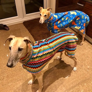 Puede incluir: Dos perros con su&eacute;teres coloridos. Un perro lleva un su&eacute;ter azul con un patr&oacute;n de dinosaurio. El otro perro lleva un su&eacute;ter multicolor con un patr&oacute;n de chevron.