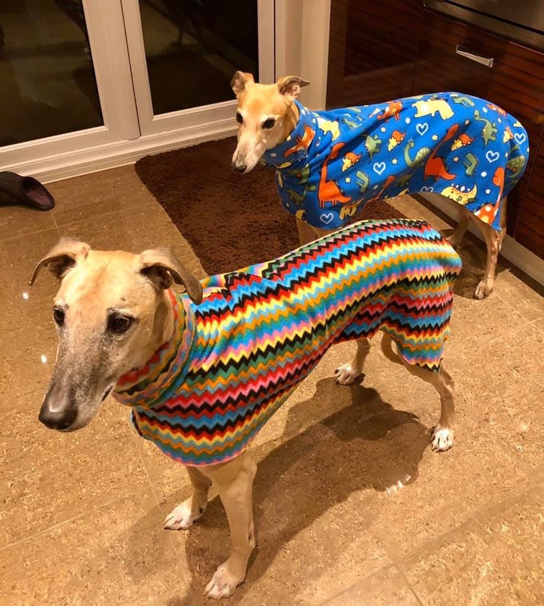 Puede incluir: Dos perros con su&eacute;teres coloridos. Un perro lleva un su&eacute;ter azul con un patr&oacute;n de dinosaurio. El otro perro lleva un su&eacute;ter multicolor con un patr&oacute;n de chevron.