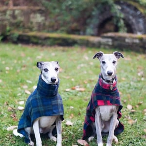 Dog snood fleece blue tartan whippet ,Italian greyhound ,greyhound,lurcher 8 sizes image 8