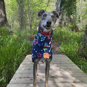Fleece Dog Snood coat , jumper space , Halloween Whippet, Greyhound , lurcherr image 10