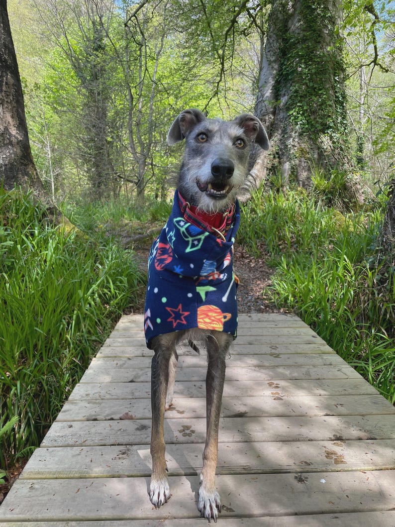 Fleece Dog Snood coat , jumper space , Halloween Whippet, Greyhound , lurcherr image 10