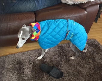 Waterproof dog coat, turquoise and red jacquard, Italian, whippet, lurcher greyhound