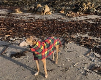Dog snood fleece Buchanan   whippet ,Italian greyhound ,greyhound, lurcher 8 sizes