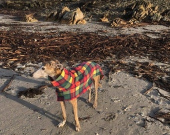 Perro snood vellón Buchanan Whippet, galgo italiano, galgo, acechador 8 tamaños