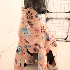 Dog pyjamas fox and owl print fleece jumper, whippet, Italian, lurched, greyhound
