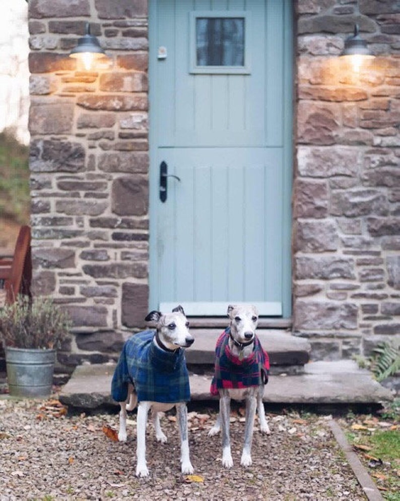 Dog snood fleece blue tartan whippet ,Italian greyhound ,greyhound,lurcher 8 sizes image 7