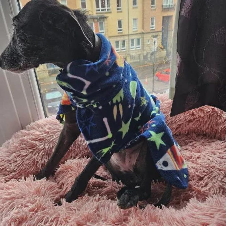 Fleece Dog Snood coat , jumper space , Halloween Whippet, Greyhound , lurcherr image 6