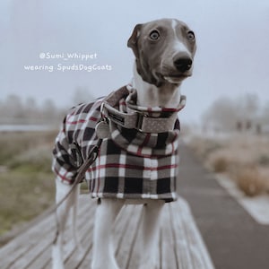 Dog snood black tartan , whippet, lurcher, Italian, greyhound fleece coats 8 sizes