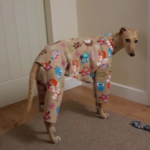 Dog pyjamas fox and owl print fleece jumper, whippet, Italian, lurched, greyhound