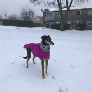 blizzard lurcher coat