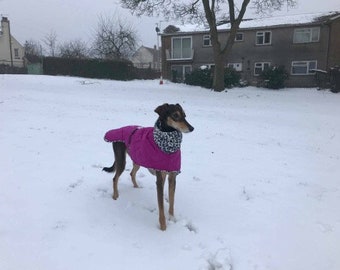 Waterproof dog coat cerise and snow leopard  puppy, whippet, greyhound, lurcher, Italian