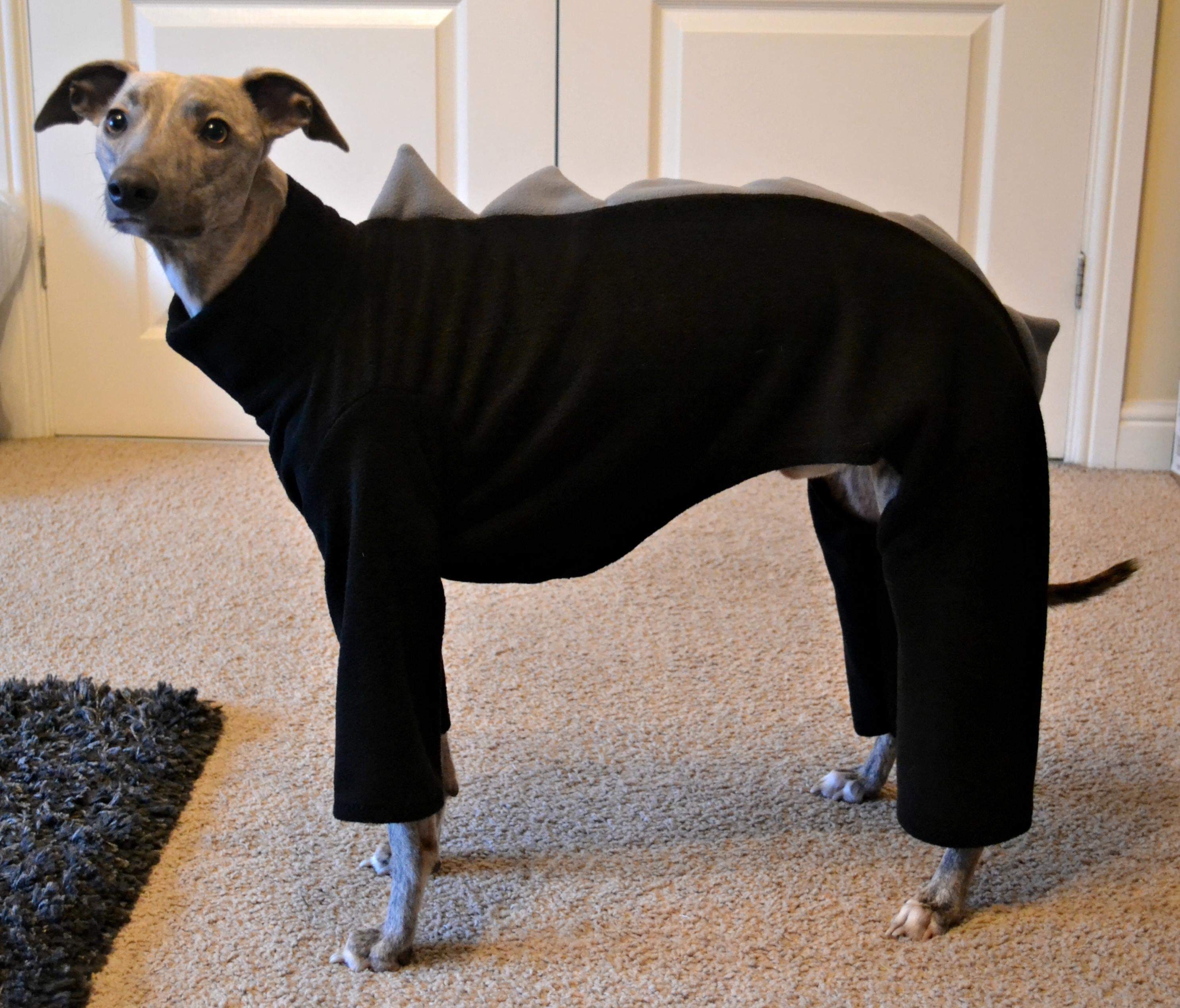 Azabache Galgo Lurcher The Trendy Whippet Pijama de Forro Polar Suave Gris con diseño de Galgo Italiano Saluki Sighthound. 