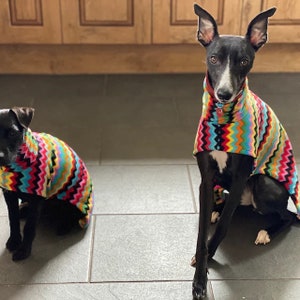 Puede incluir: Dos perros negros con su&eacute;teres de vell&oacute;n con estampado de chevron de colores. Los perros est&aacute;n sentados en un suelo de baldosas.