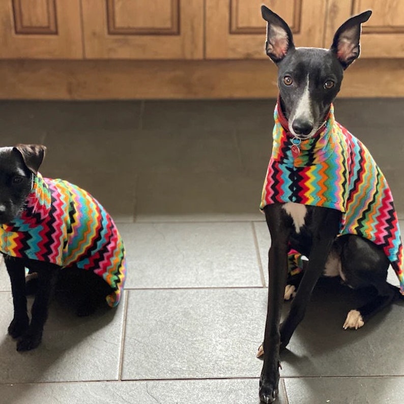 Puede incluir: Dos perros negros con su&eacute;teres de vell&oacute;n con estampado de chevron de colores. Los perros est&aacute;n sentados en un suelo de baldosas.