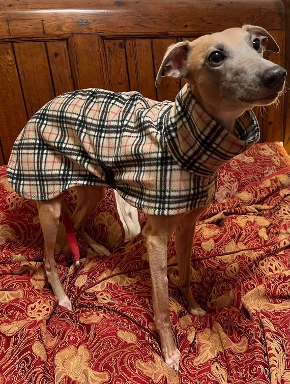 Polaire burberry new arrivals
