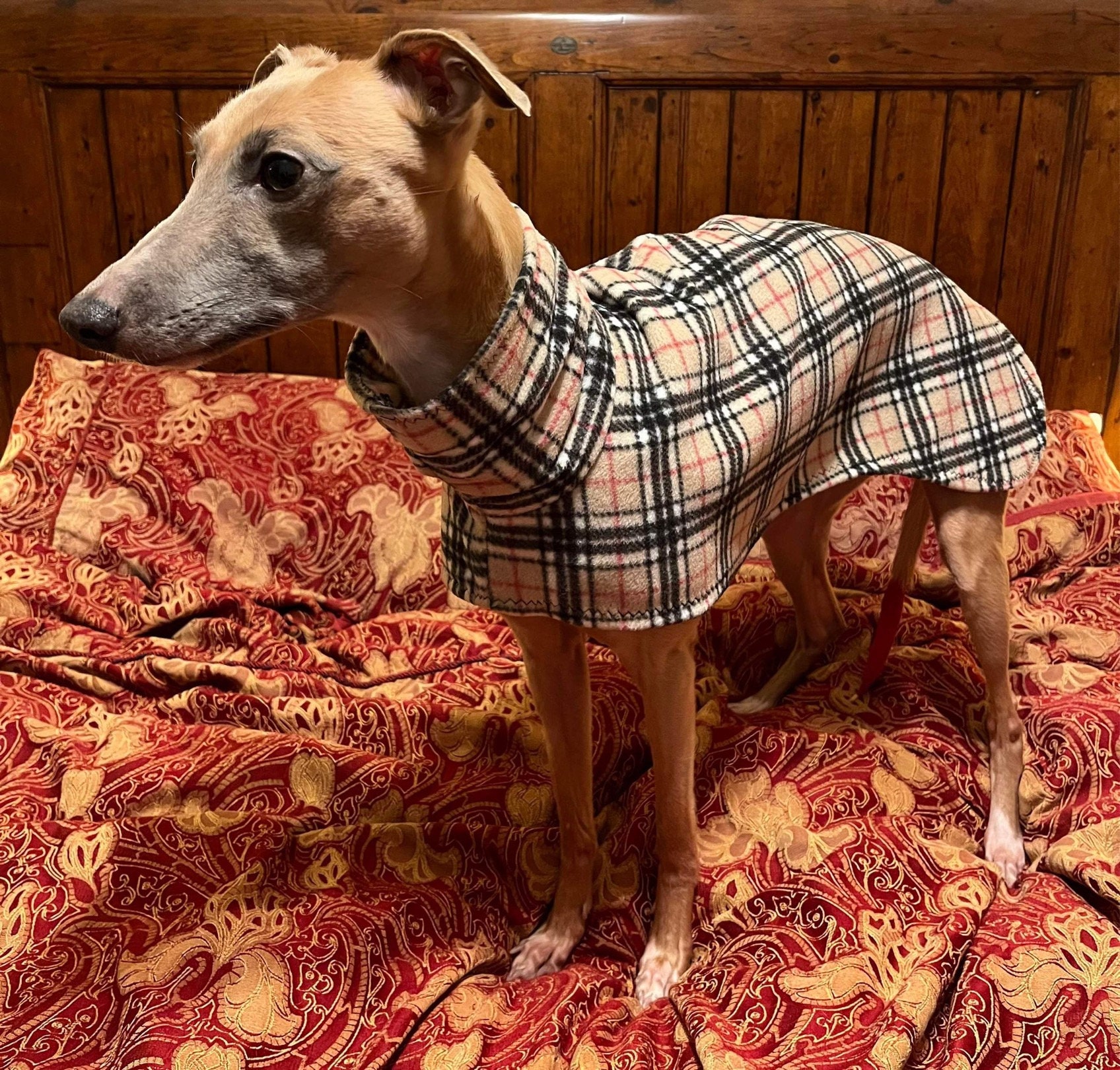 Burberry Dog Coat - Etsy UK