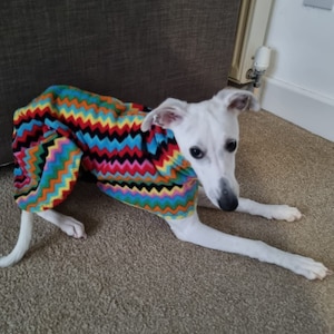 Puede incluir: Un perro blanco con un su&eacute;ter de colores con estampado de zigzag. El perro est&aacute; acostado en una alfombra marr&oacute;n claro.