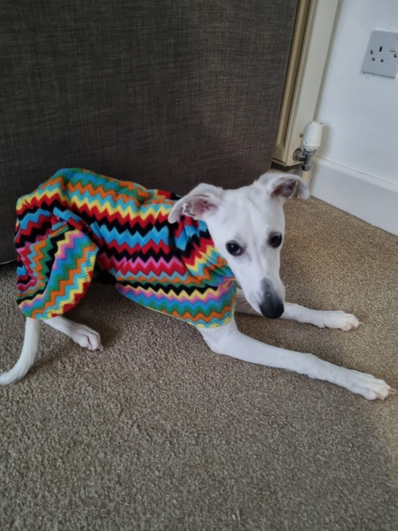 Dog snood coat,zigzag fleece,jumper, whippet, greyhound , Italian , lurcher image 3