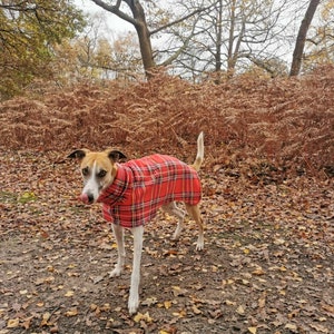 Dog snood red tartan fleece whippet ,Italian greyhound ,greyhound,lurcher 8 sizes image 5