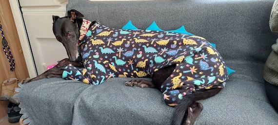 Dog Dinosaur Pyjamas Onesie Terrier Whippet Italian Lurcher Greyhound 6 Sizes Etsy Canada