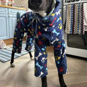 Pu&ograve; includere: Un cane nero che indossa un pigiama da cane blu, bianco e rosso con un motivo a ossa e impronte di zampe. Il cane &egrave; in piedi su un pavimento di legno in una cucina.