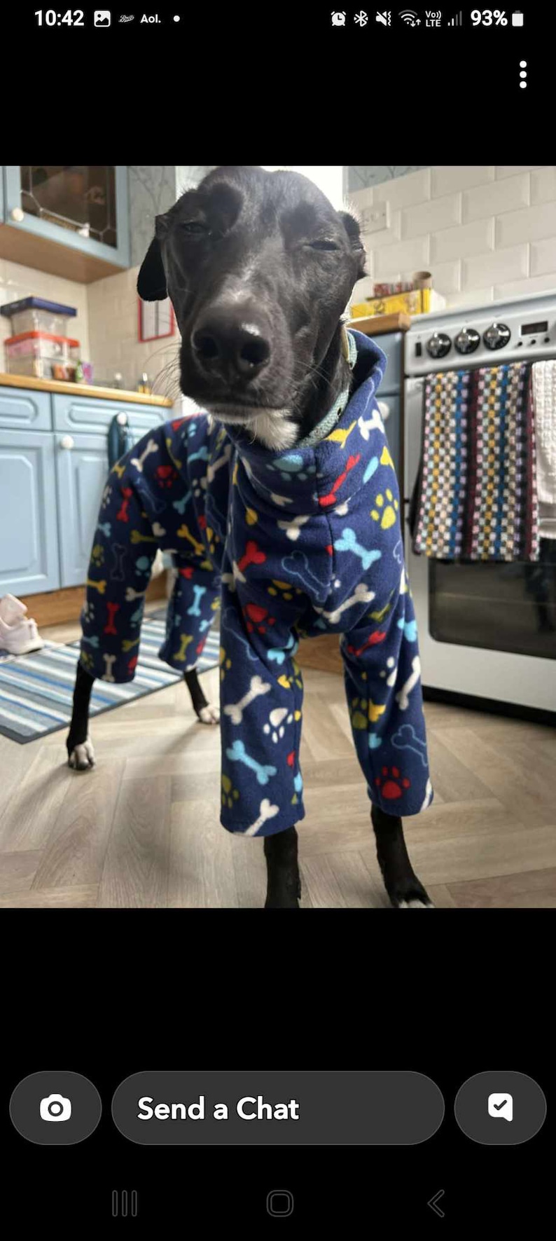 Pu&ograve; includere: Un cane nero che indossa un pigiama da cane blu, bianco e rosso con un motivo a ossa e impronte di zampe. Il cane &egrave; in piedi su un pavimento di legno in una cucina.
