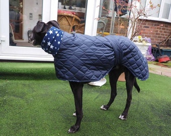 Waterproof dog coat navy with navy star  , whippet , Italian, lurched, greyhound
