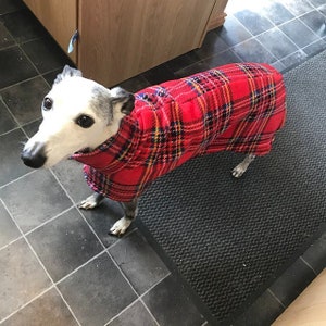以下が含まれることがあります： 白とグレーの犬が赤と黒の格子柄のフリースの服を着ています