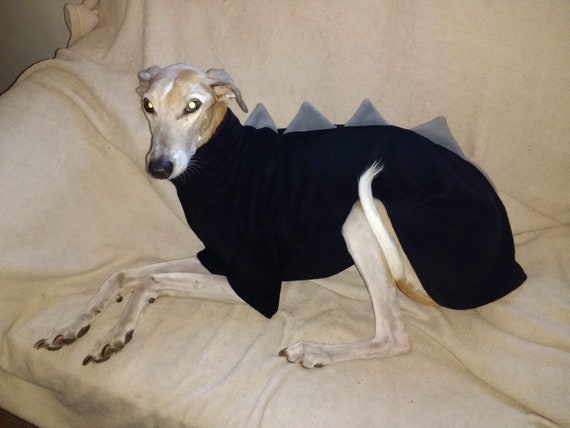 Saluki Large Whippet Italian Greyhound Greyhound 5 Sizes Dog