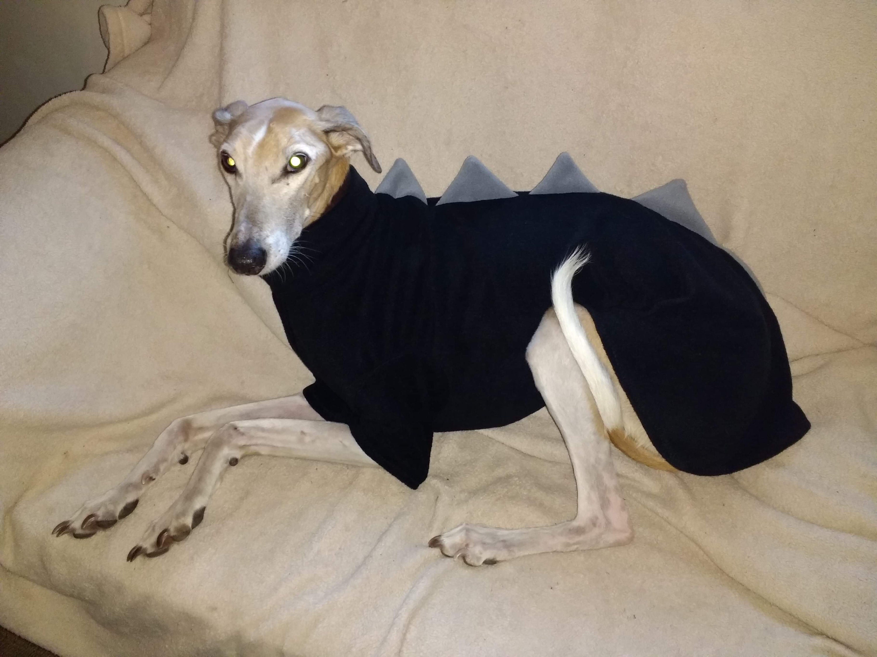 lurcher jumper