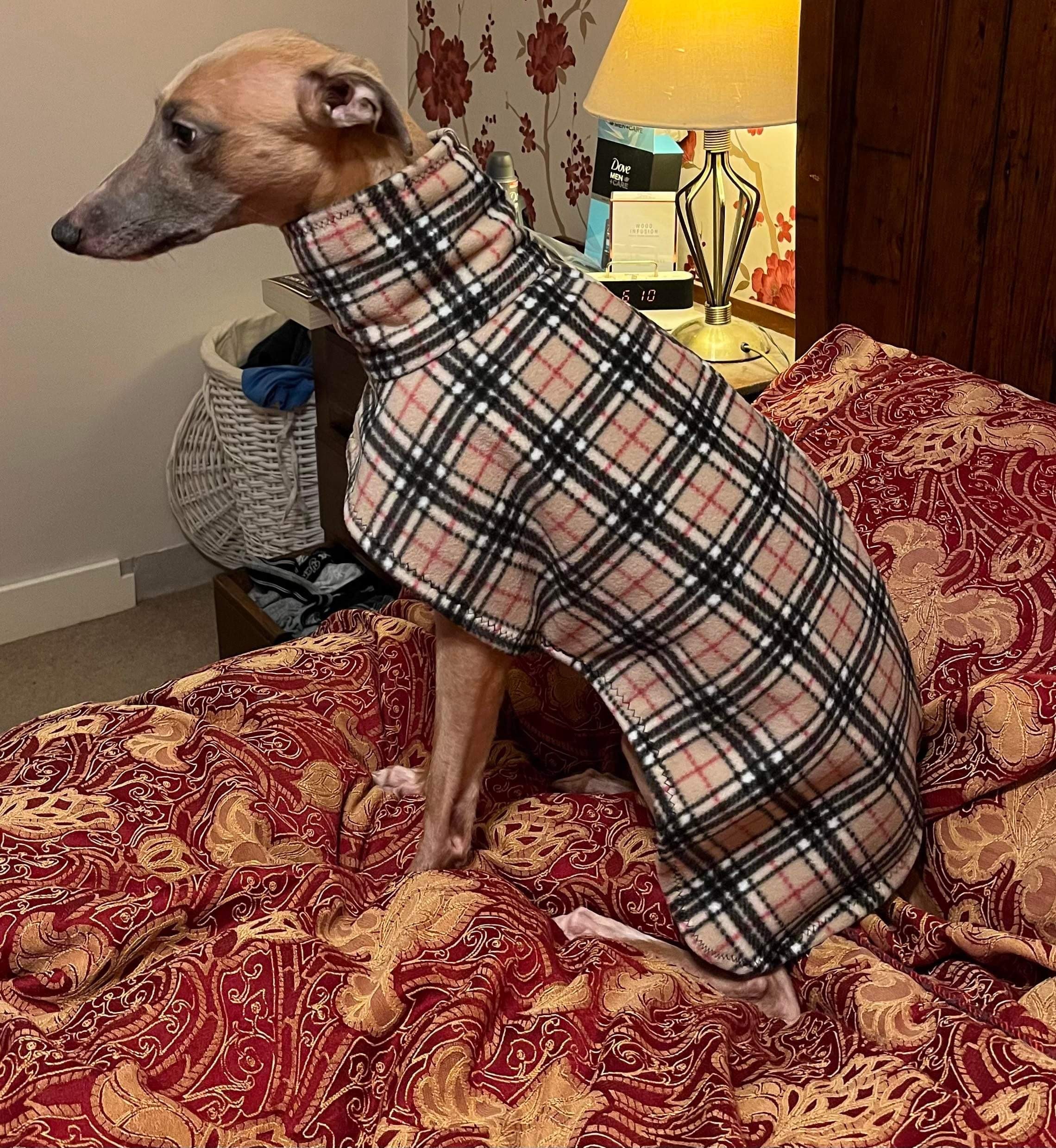 Dog Snood Classic Burberry Dog Fleece Whippet Italian Lurcher Greyhound Etsy UK