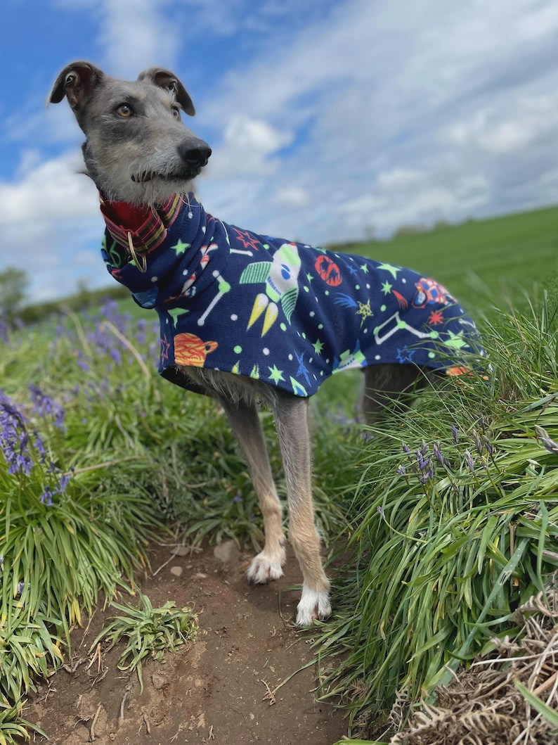 SSKHE 1 Chapeau De Baseball Pour Chien Au Motif Plaid - Protection