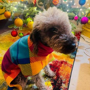 Peut inclure: Un petit chien gris portant un manteau en polaire &agrave; carreaux color&eacute;s avec un col roul&eacute; rouge. Le manteau pr&eacute;sente un motif patchwork dans les tons de bleu, jaune, rouge et violet. Le chien est devant un sapin de No&euml;l d&eacute;cor&eacute;.