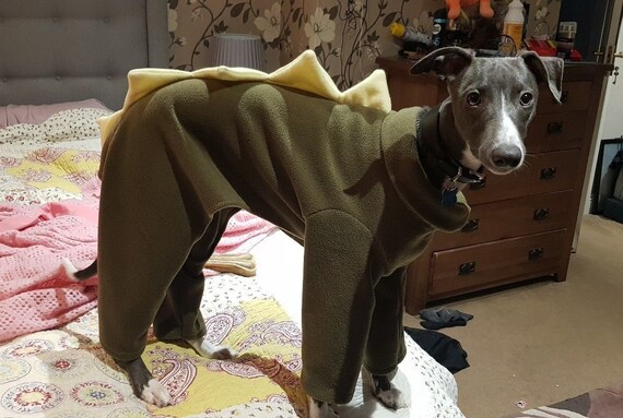 Whippet dinosaur pyjamas sales