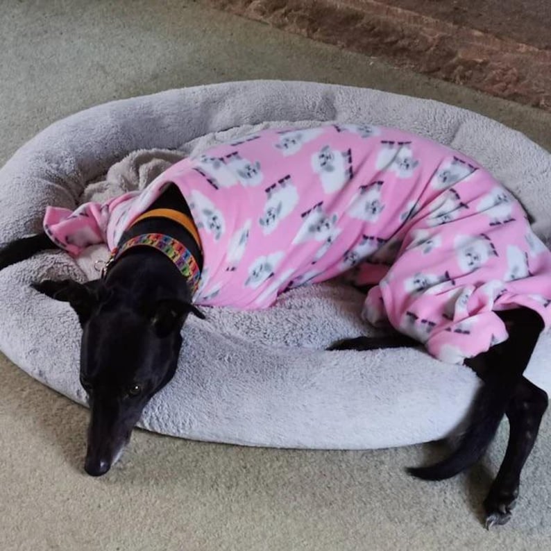 Dog Pyjamas in Pink Sheep Print Fleece Pyjamas Whippet, Greyhound ...