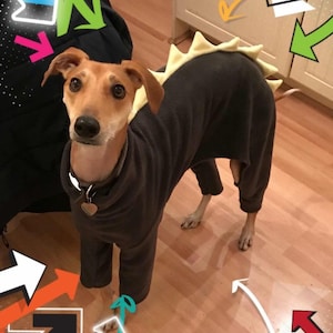 Dog dinosaur pyjamas,jumper Italian greyhound, whippet, lurched greyhound