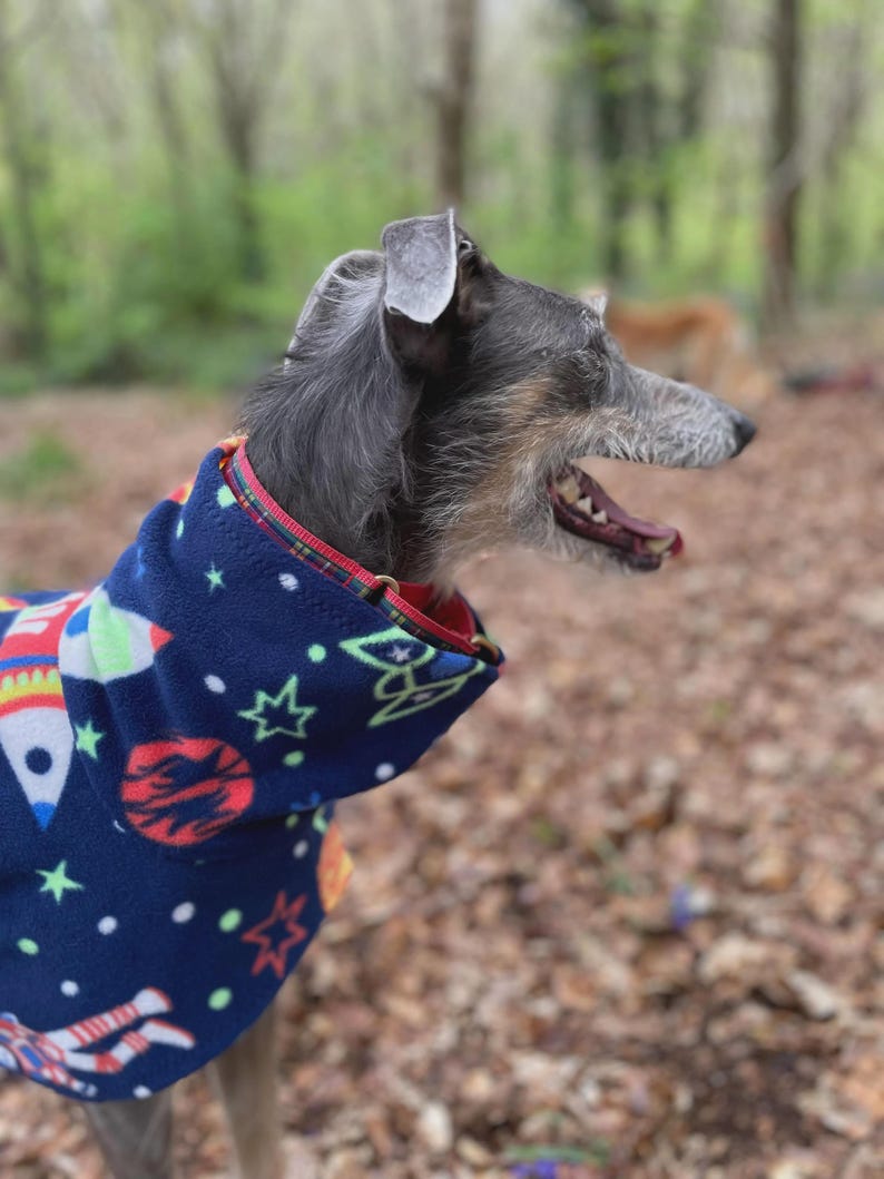 Fleece Dog Snood coat , jumper space , Halloween Whippet, Greyhound , lurcherr image 4