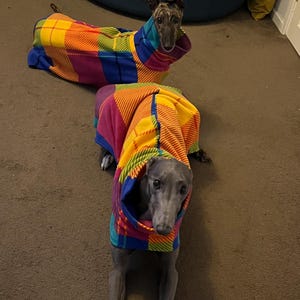 Peut inclure: Deux l&eacute;vriers v&ecirc;tus de manteaux pour chiens aux motifs patchwork color&eacute;s. Les manteaux pr&eacute;sentent un m&eacute;lange vibrant de carr&eacute;s jaunes, oranges, roses, violets, bleus et verts. Un chien est couch&eacute;, l'autre assis, tous deux regardant la cam&eacute;ra.