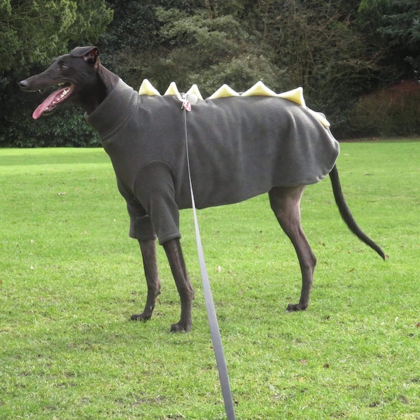 Dog dinosaur jumper fleece Italian, whippet, lurcher, greyhoud 5 sizes available
