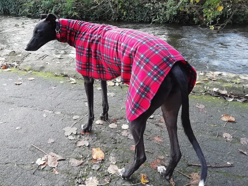 Dog snood red tartan fleece whippet ,Italian greyhound ,greyhound,lurcher 8 sizes image 6