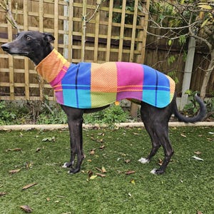 Peut inclure: Un l&eacute;vrier noir portant un manteau pour chien &agrave; carreaux color&eacute;s. Le manteau pr&eacute;sente un motif patchwork avec des carr&eacute;s et des rayures orange, roses, bleus et verts. Le chien se tient sur de l'herbe verte devant une cl&ocirc;ture en bois.